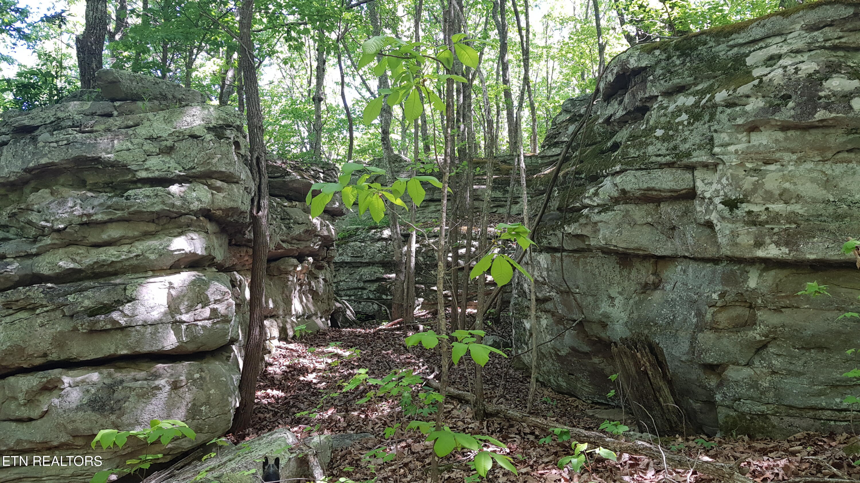 751 W Bluff Road Pikeville TN 37367