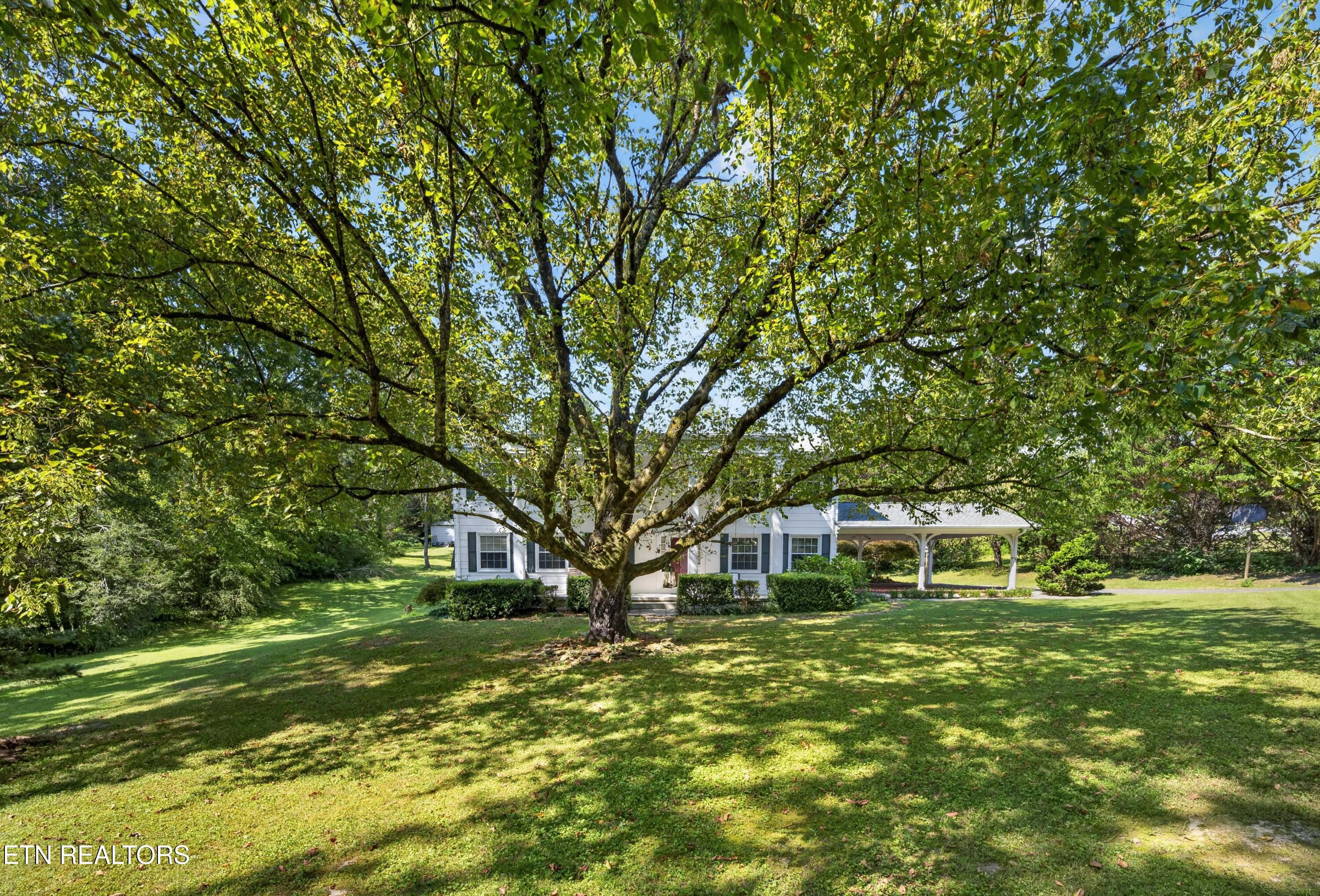 134 Andy Baird Drive Lafollette TN 37766