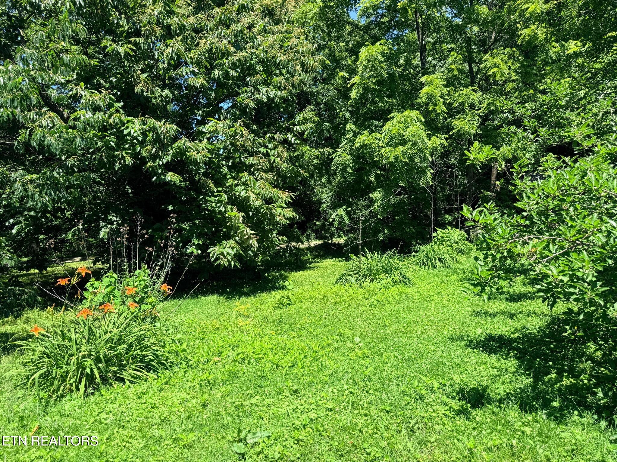 1070 Wright Place Road Jamestown TN 38556