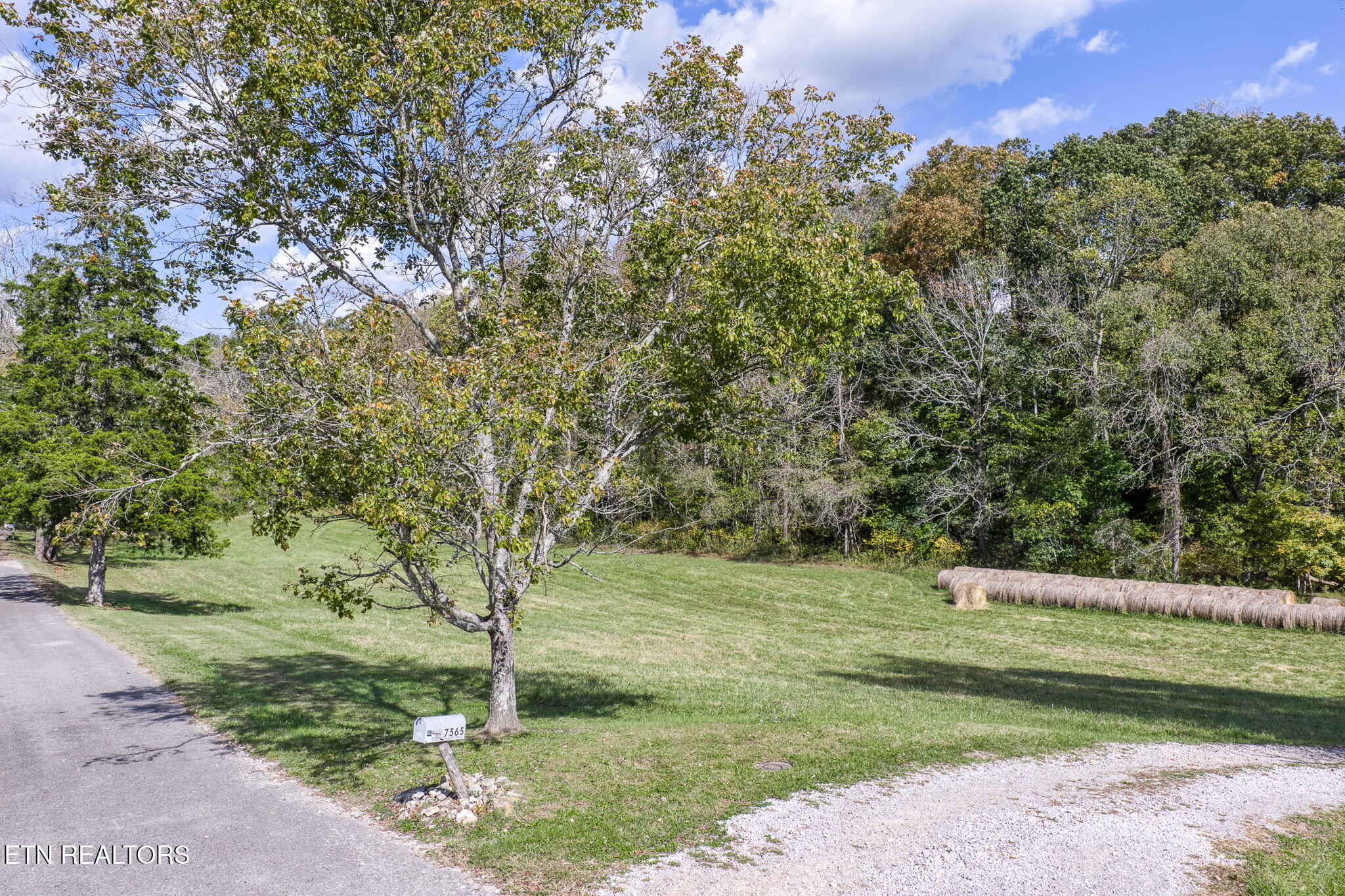 7630 Walking Horse Lane Cookeville TN 38501