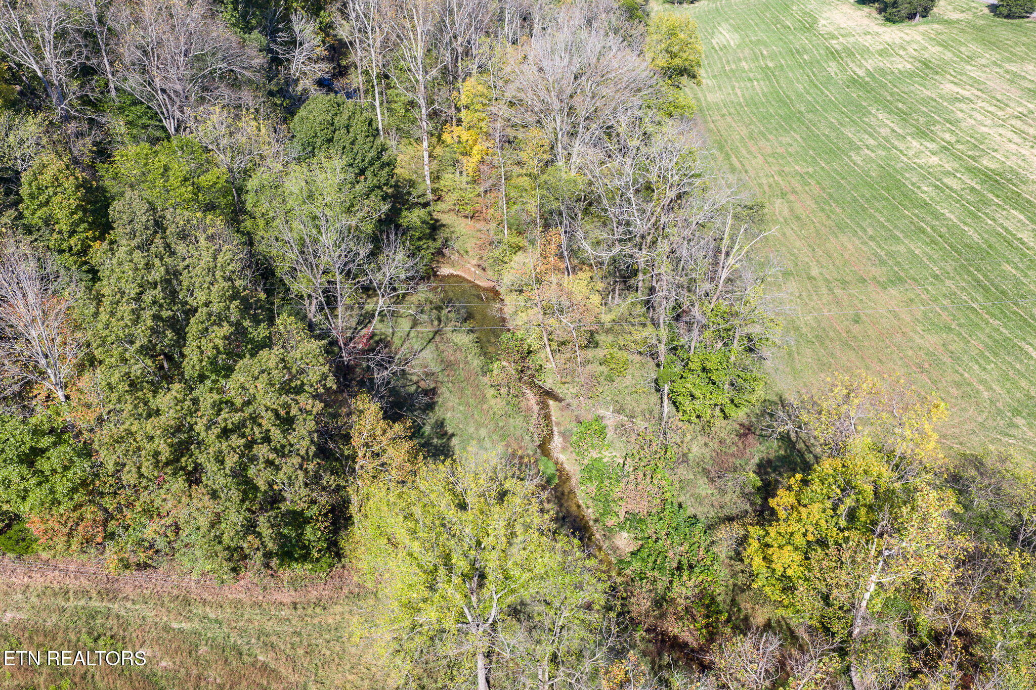 7630 Walking Horse Lane Cookeville TN 38501