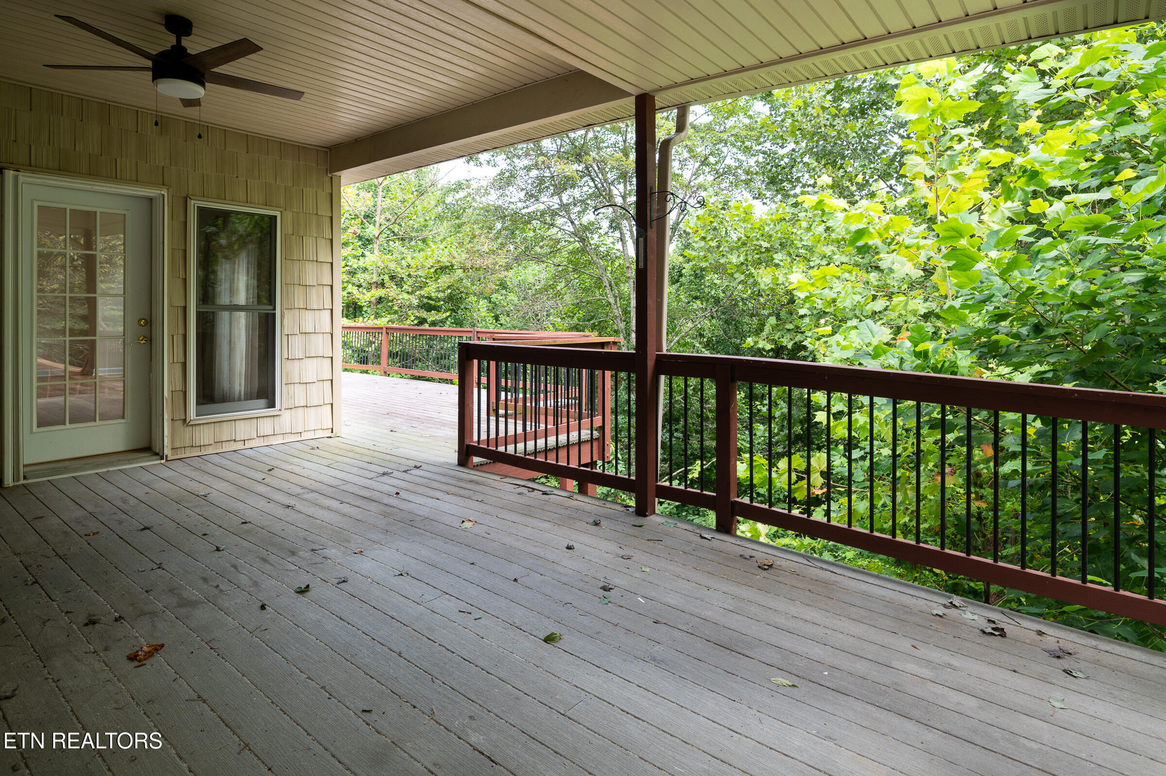 383 Maiden Lane Speedwell TN 37870