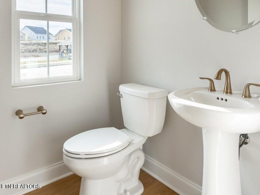 7362 Sun Blossom Lane Knoxville TN 37924