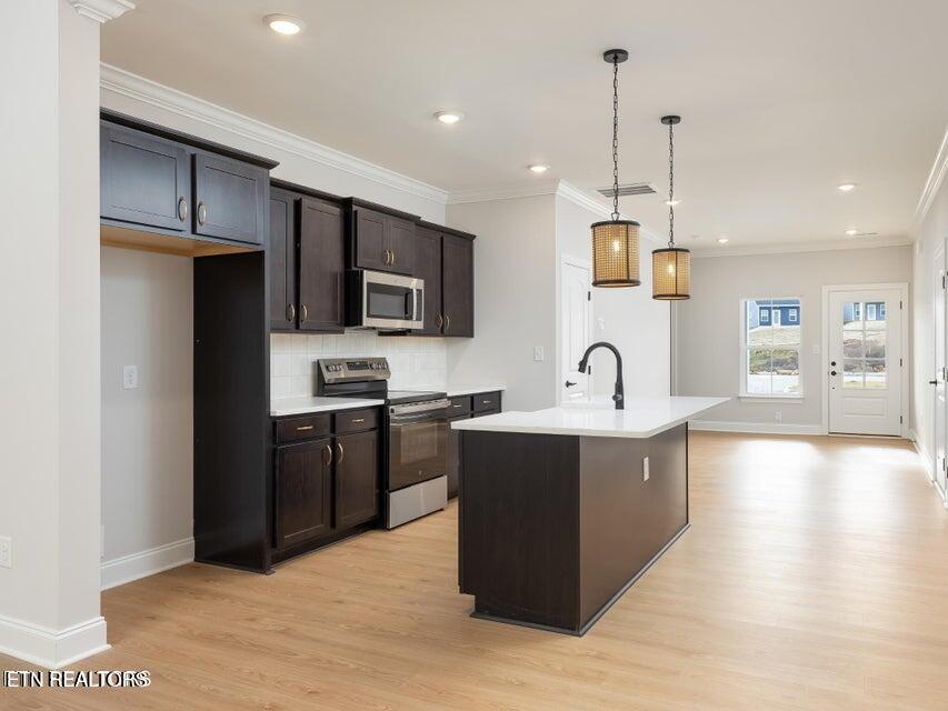 7362 Sun Blossom Lane Knoxville TN 37924