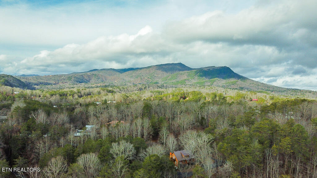2875 Easy Street Sevierville TN 37862