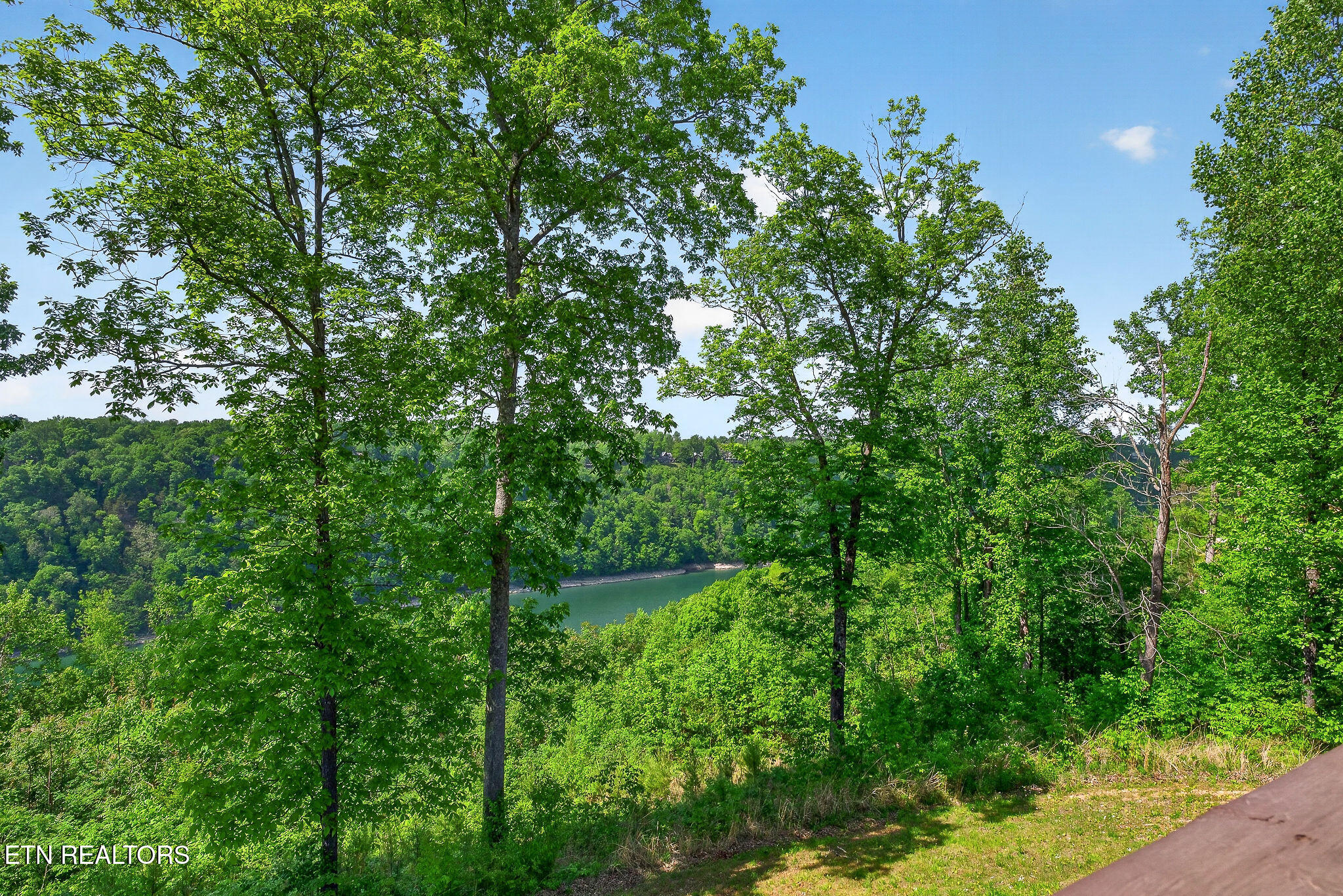 1175 W Hutchins Bend Road Sparta TN 38583