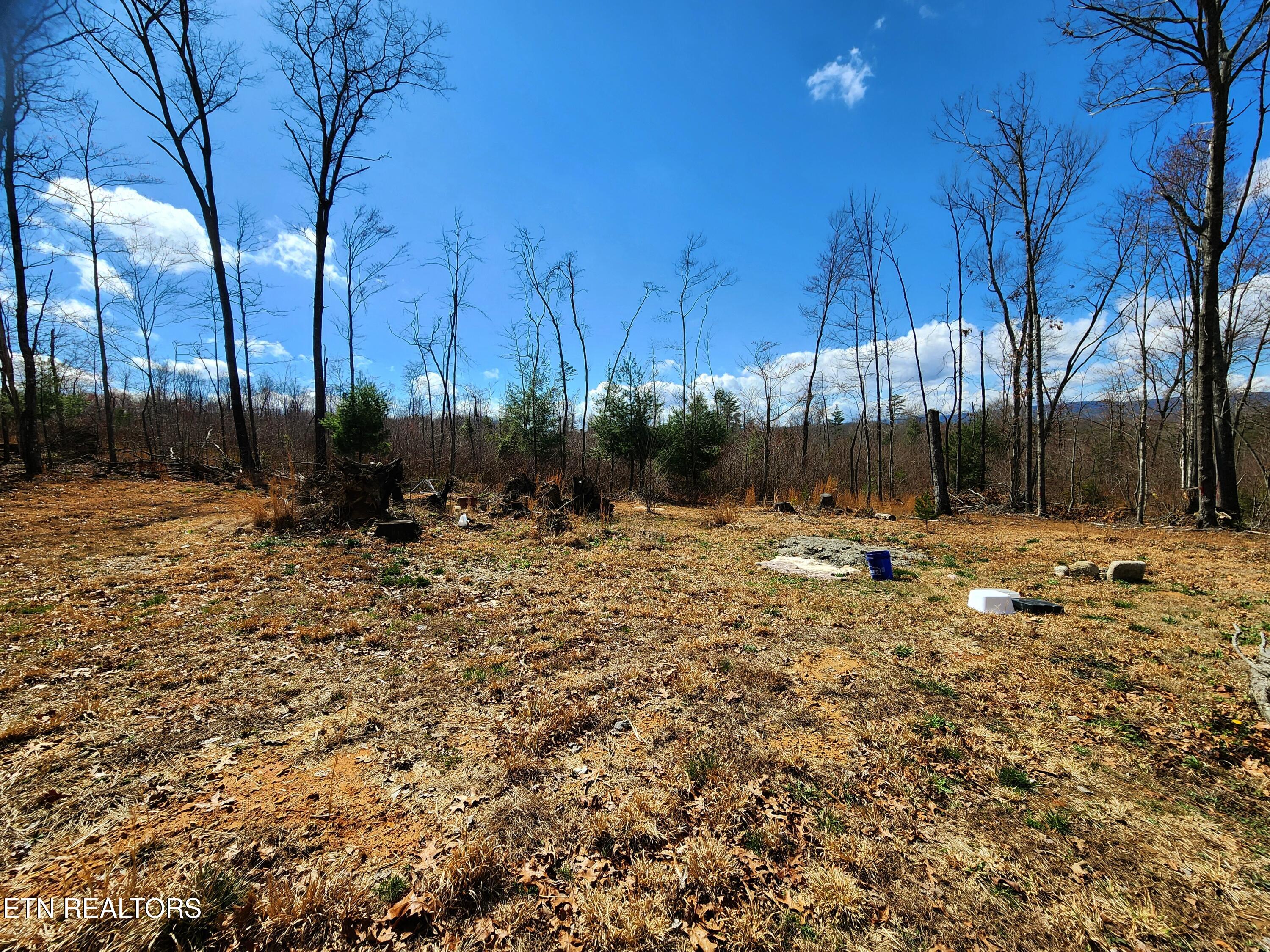 173 Alyssa Drive Rockwood TN 37854