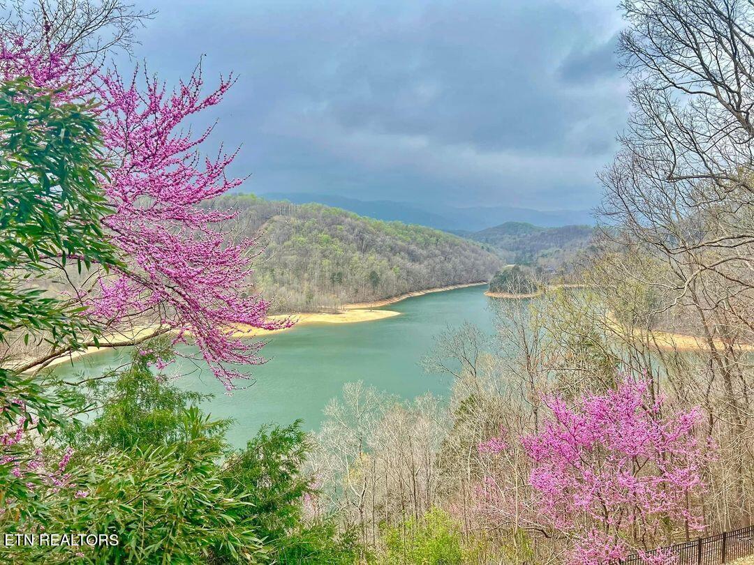 1368 N Shorewood Lane Caryville TN 37714