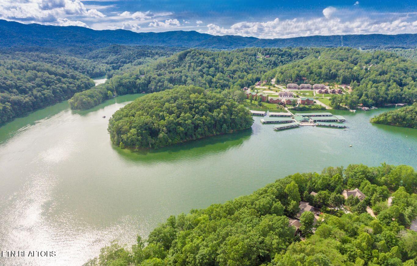 1368 N Shorewood Lane Caryville TN 37714