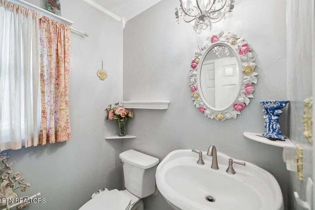 133 Rolling Hills Rutledge TN 37861