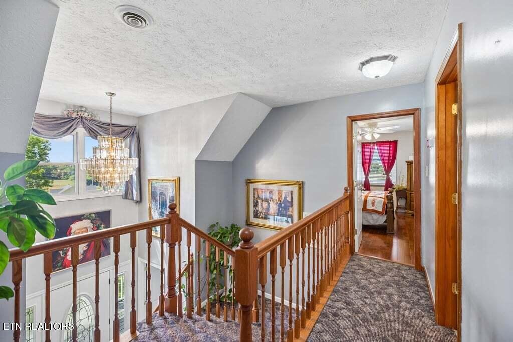 133 Rolling Hills Rutledge TN 37861