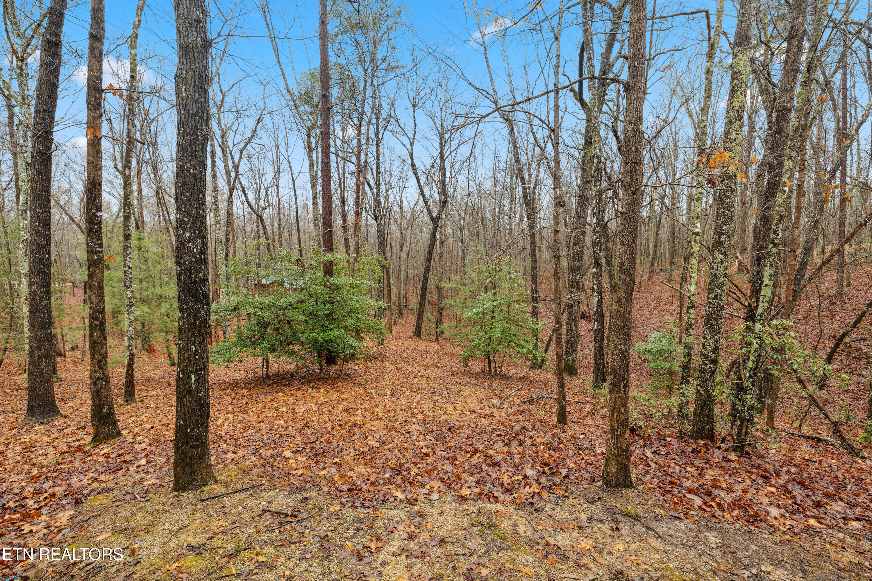 930 Wilderness Trail Oneida TN 37841