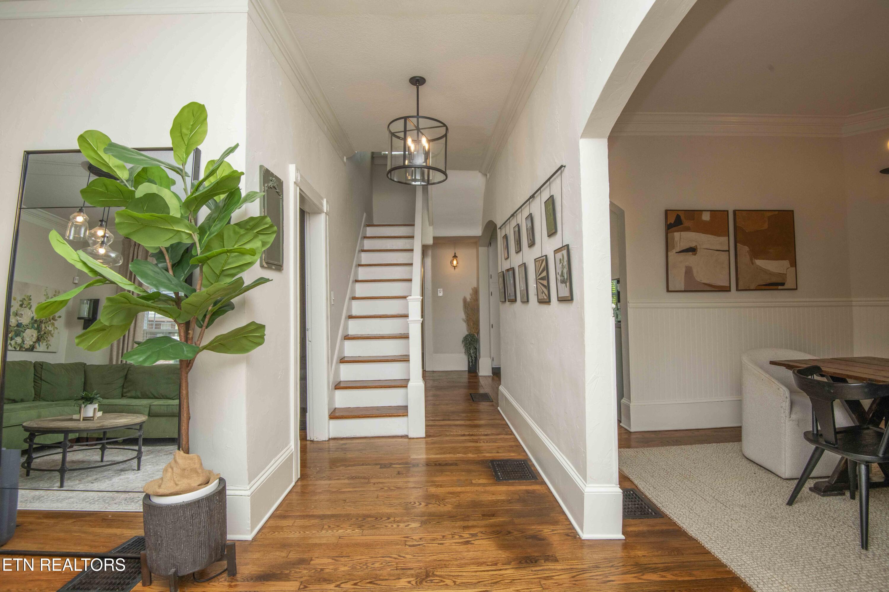 1718 Spring Street Powell TN 37849