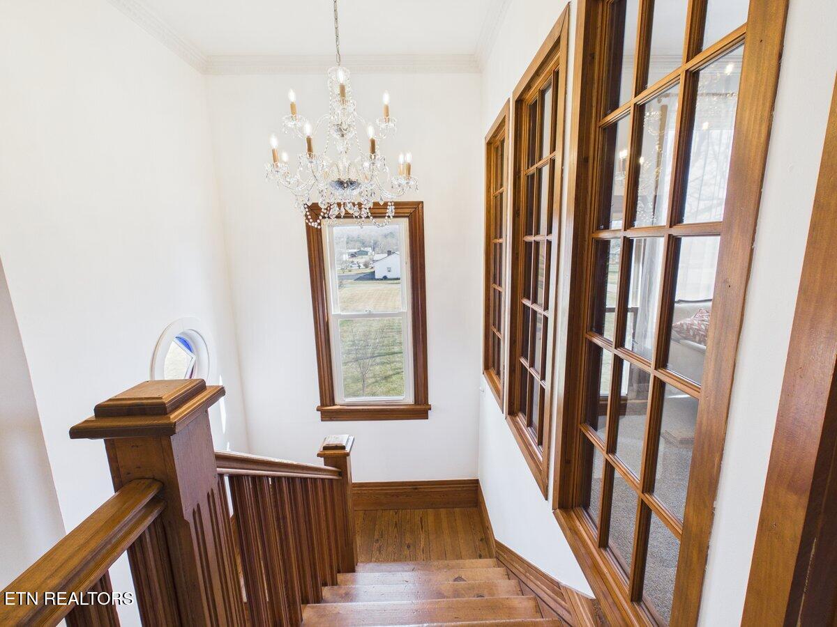 207 Thomas Road Speedwell TN 37870