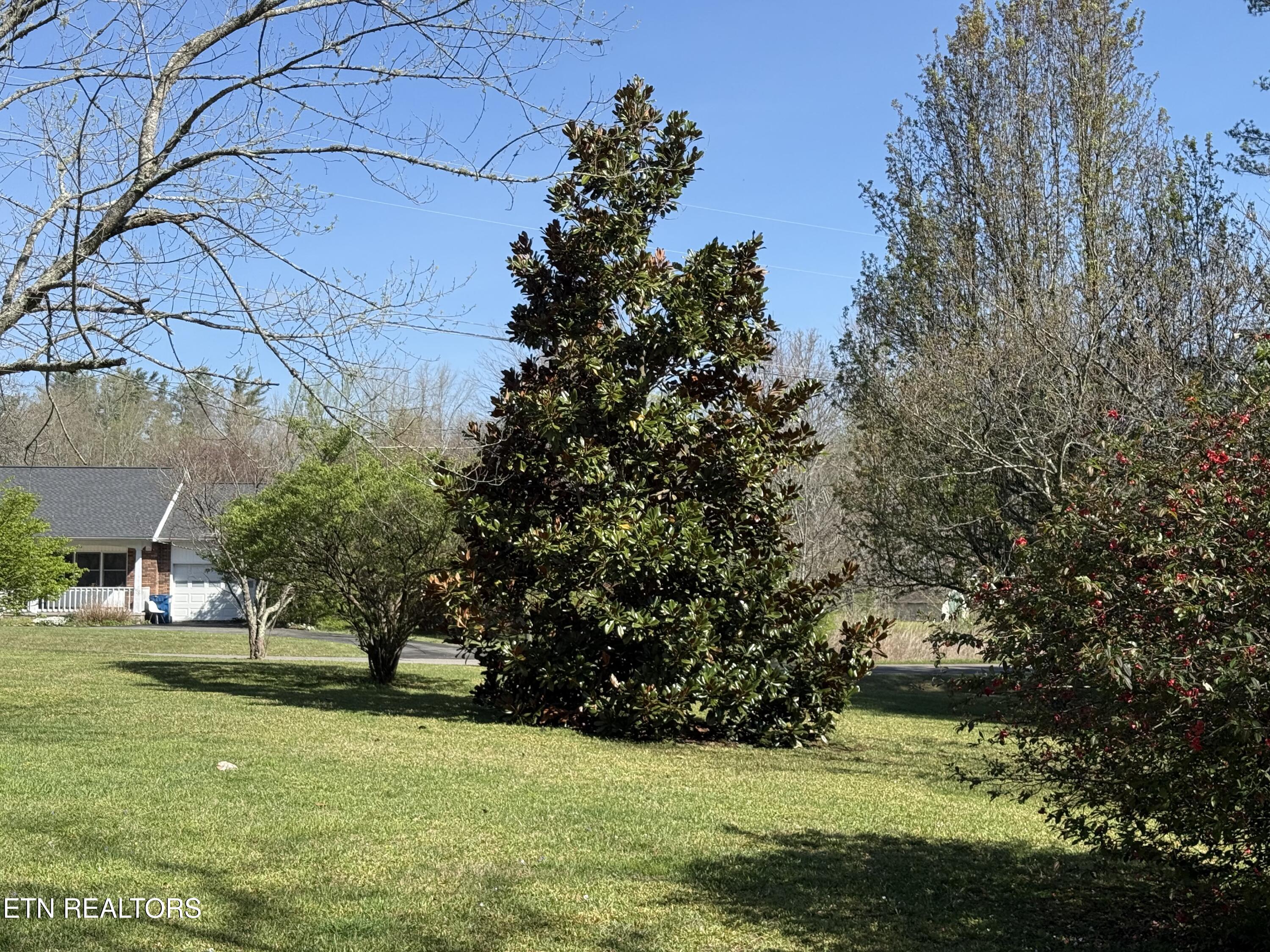 124 Lincoln Street Crossville TN 38572