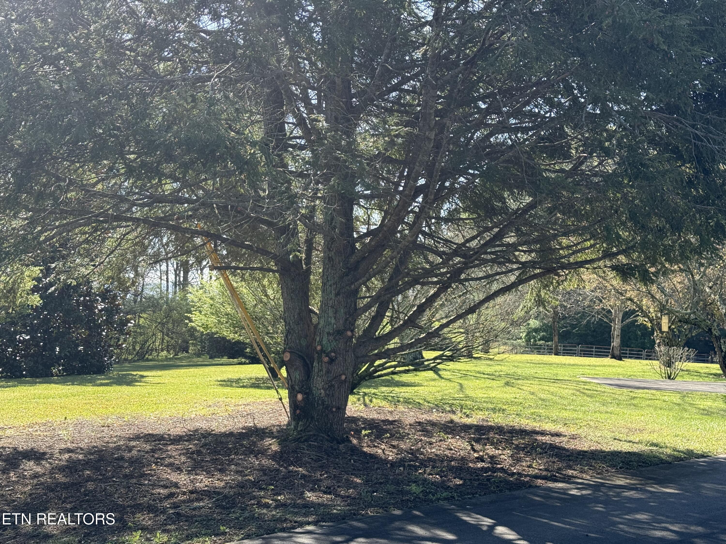 124 Lincoln Street Crossville TN 38572