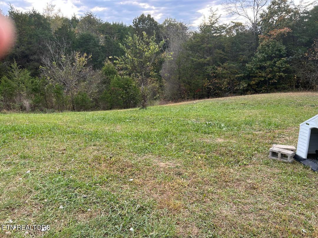 1365 Mohawk Ridge Bulls Gap TN 37711