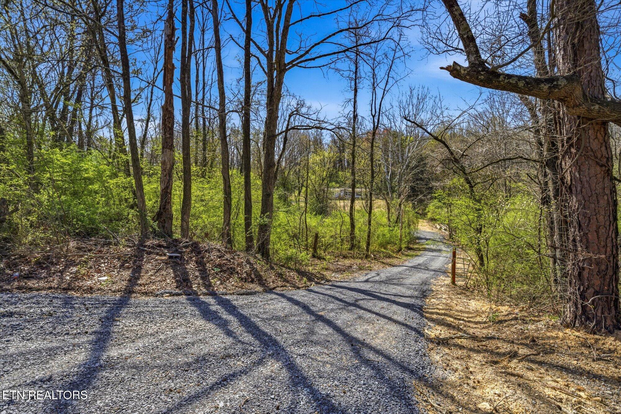 1009 S Gateway Avenue Rockwood TN 37854