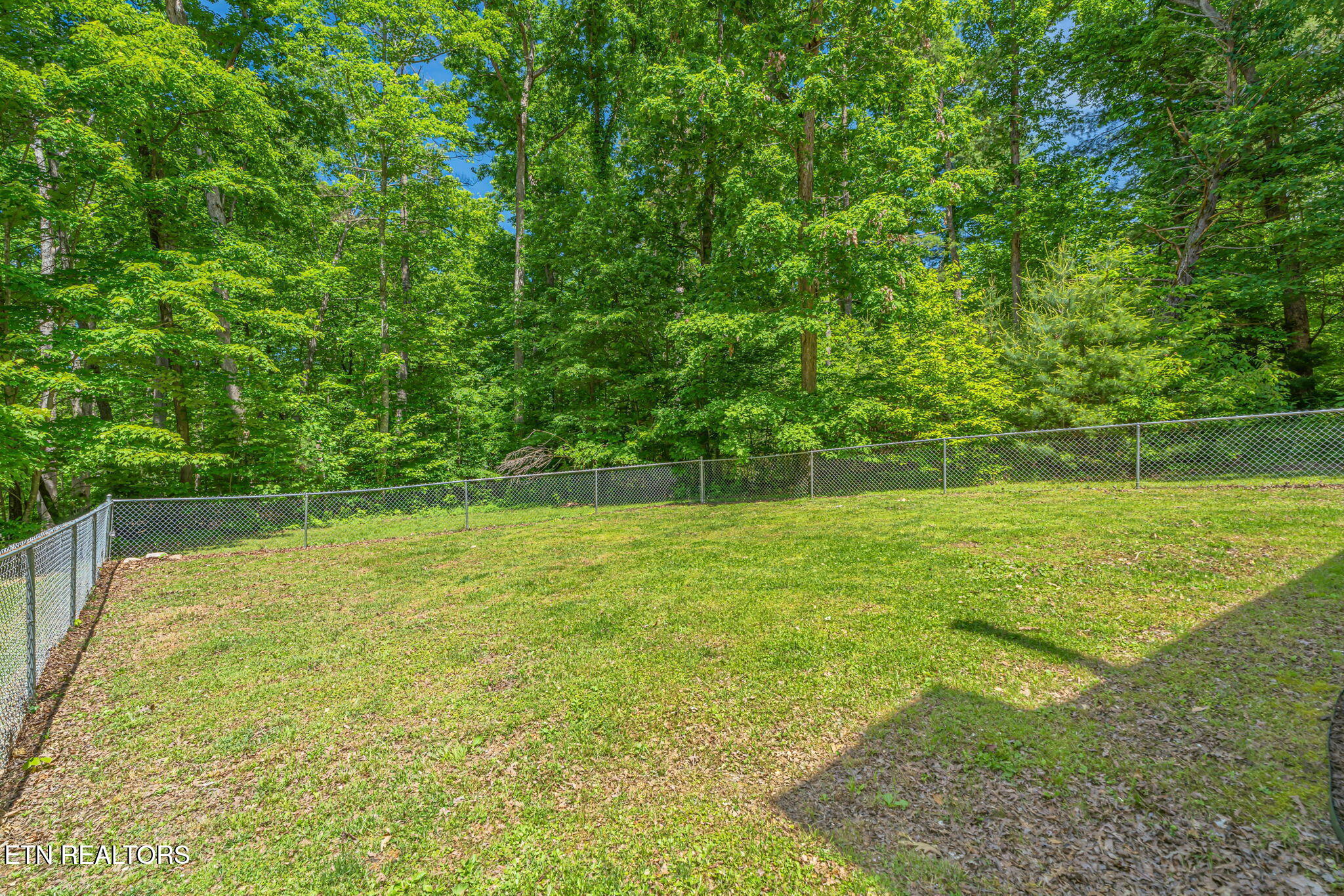 3394 Laurelwood Road Cosby TN 37722