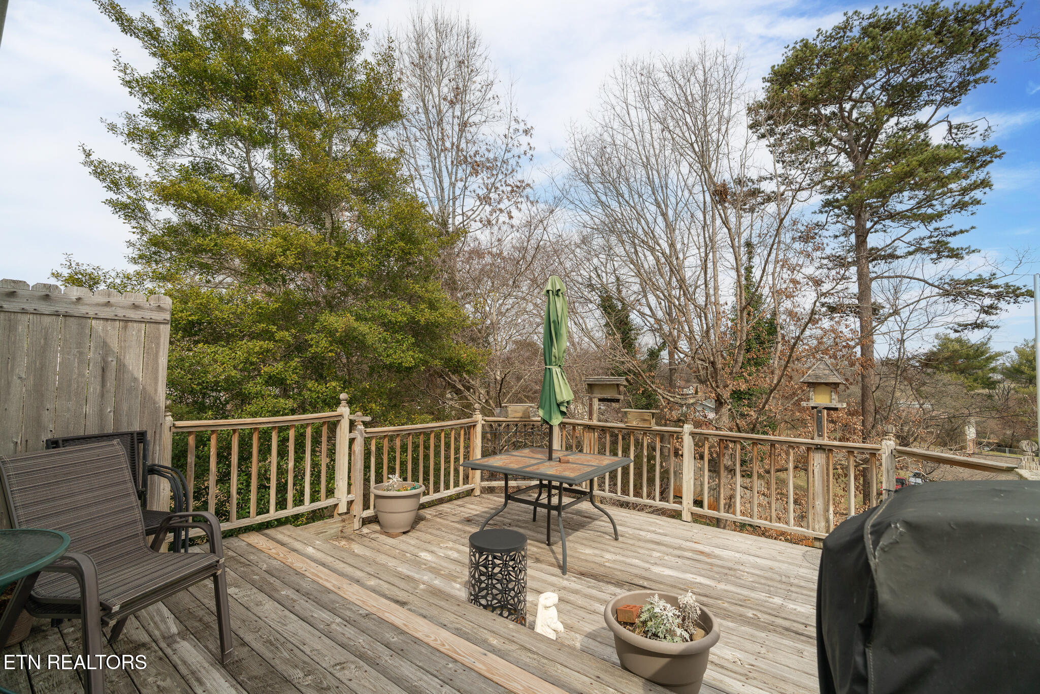 208 Blue Ridge Lane Seymour TN 37865
