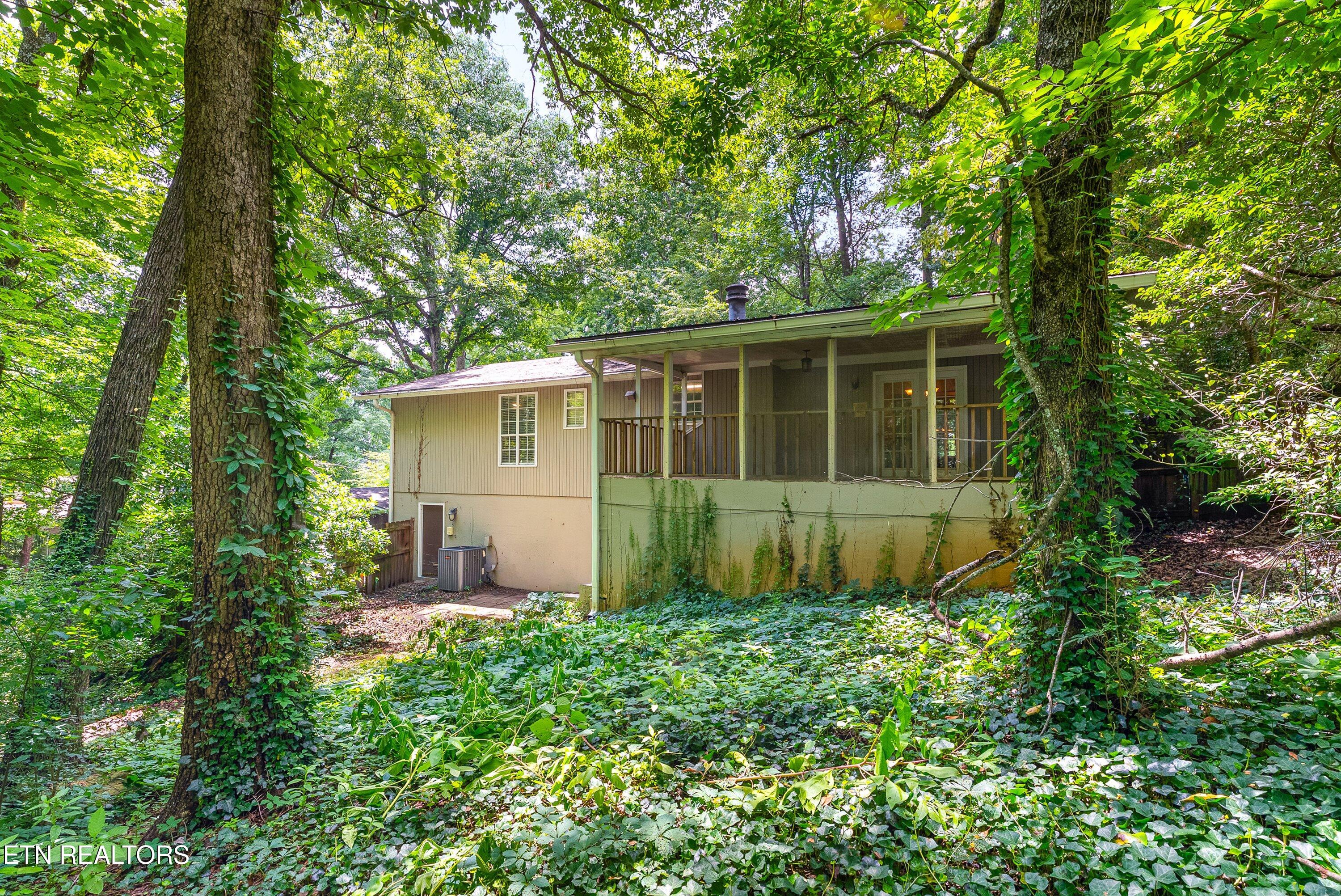 1114 Rain Tree Road Knoxville TN 37923