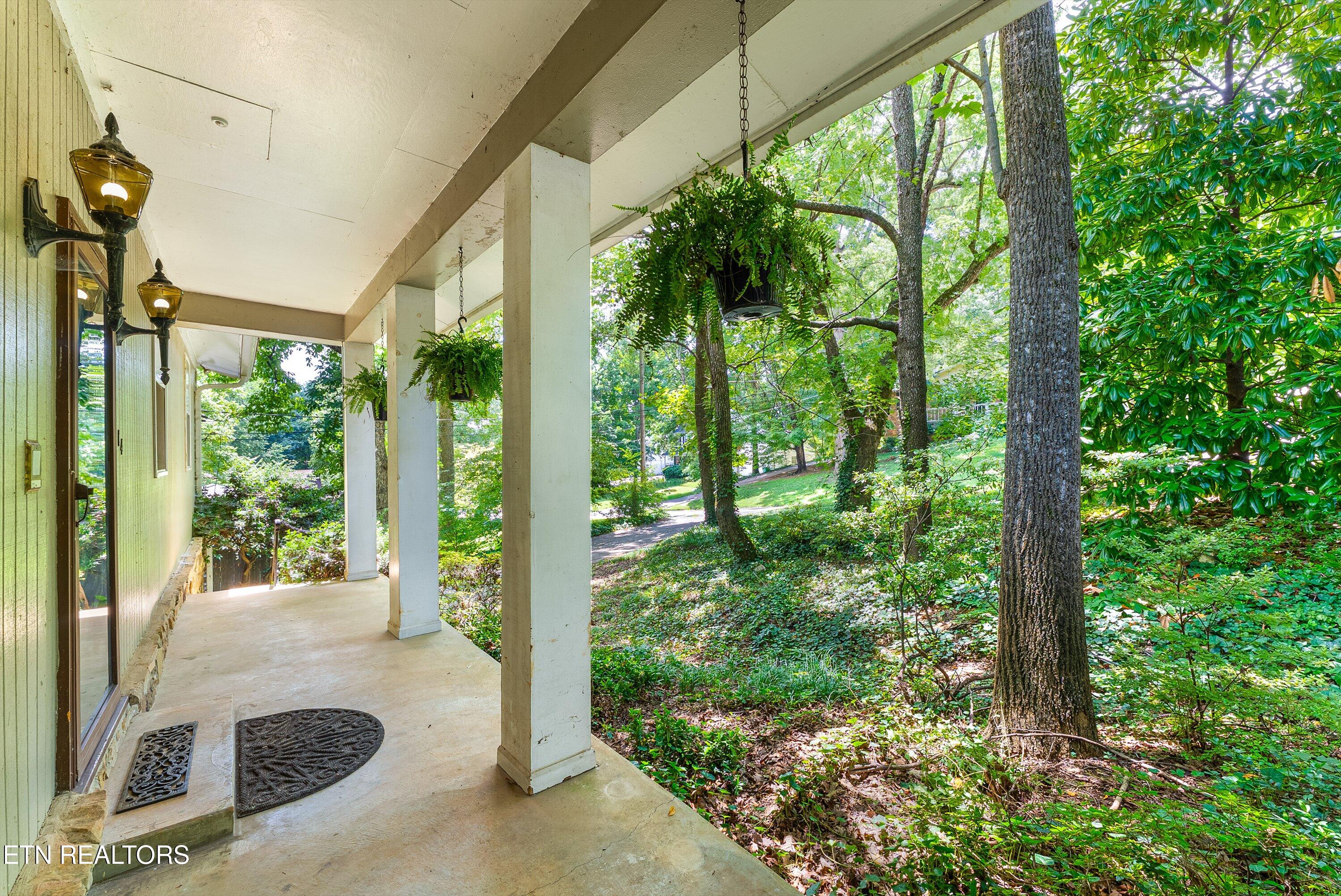 1114 Rain Tree Road Knoxville TN 37923