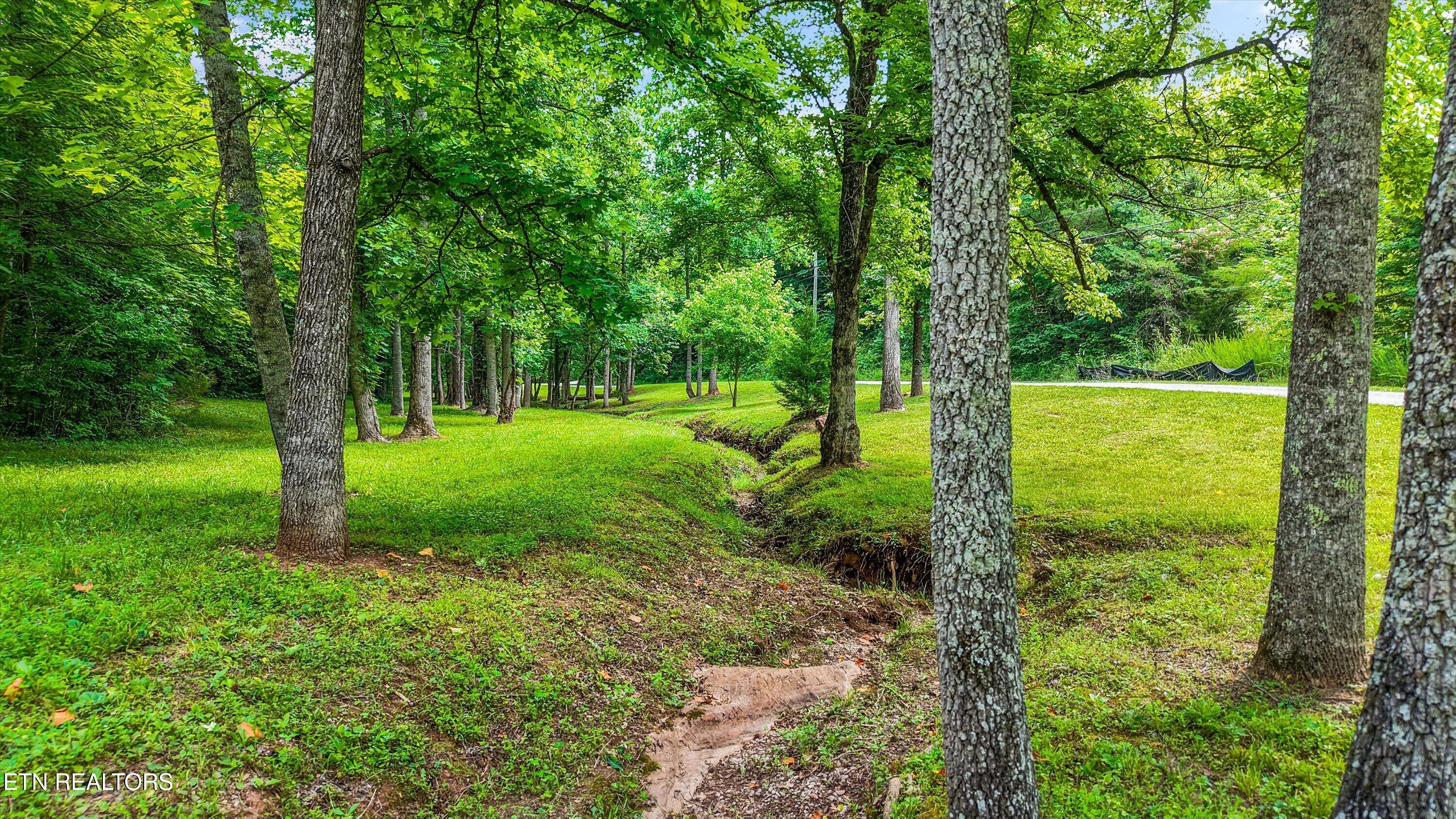 555 Bedloe Way Knoxville TN 37920