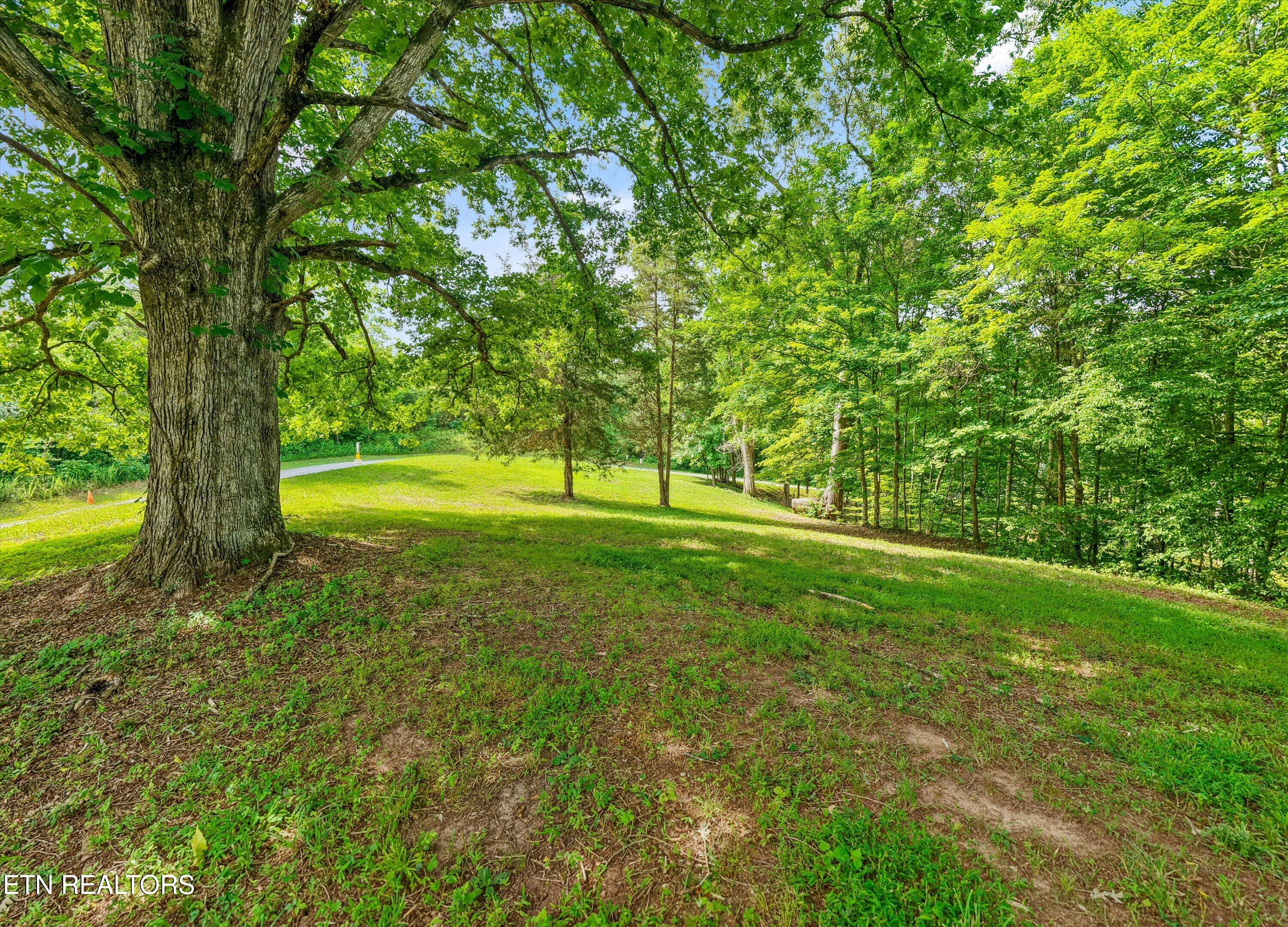 555 Bedloe Way Knoxville TN 37920