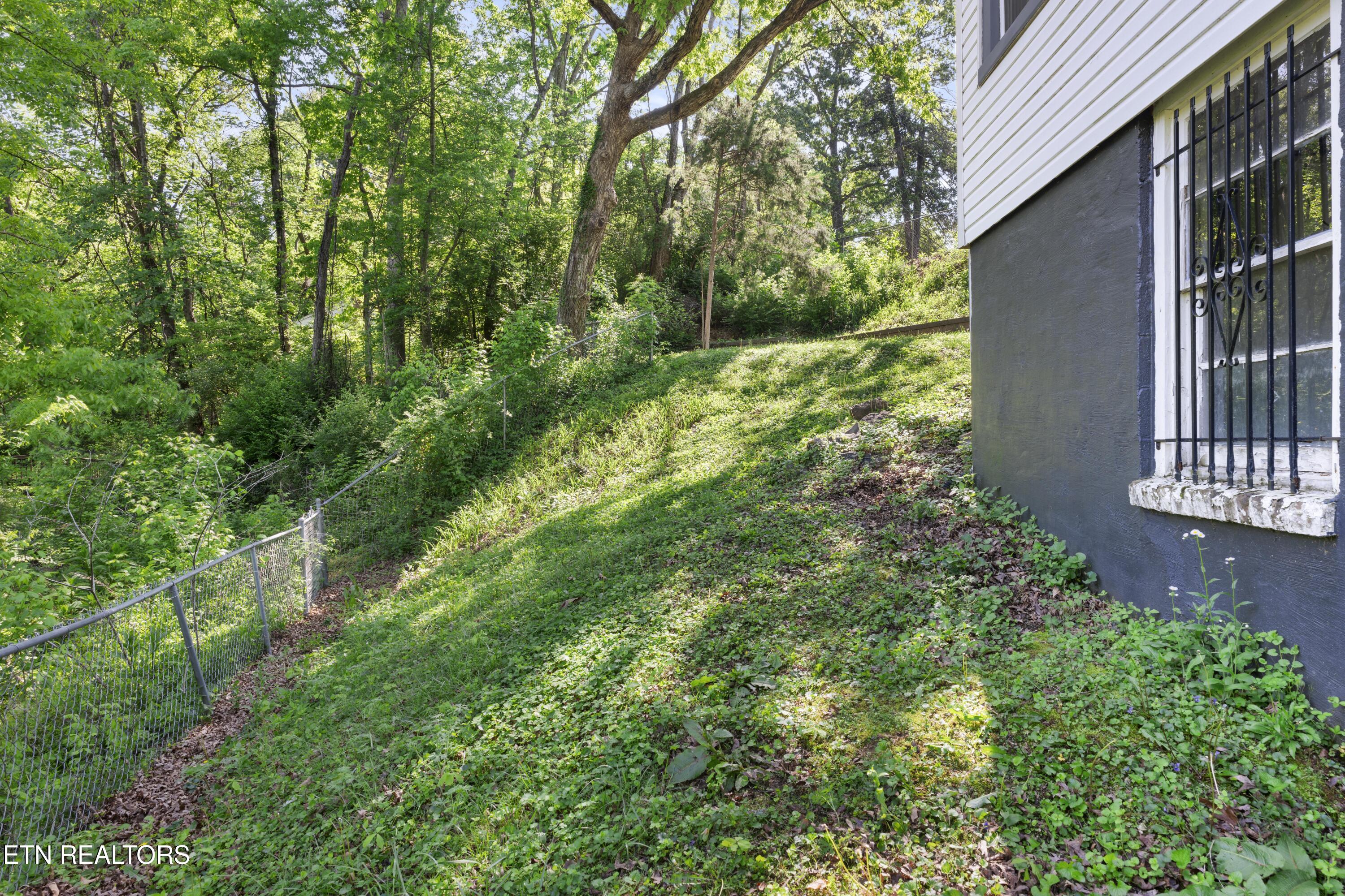 1132 Biddle Street Knoxville TN 37914