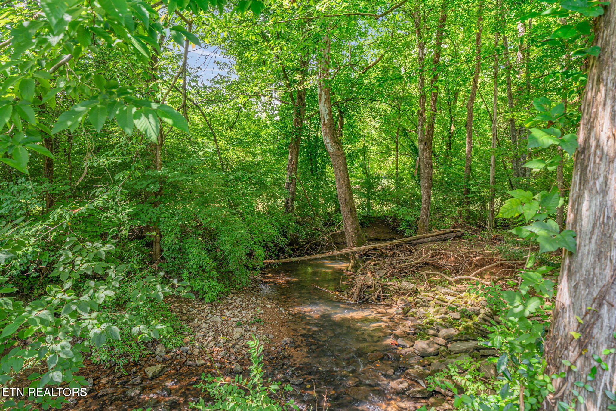 13 Bellhaven Lane Oak Ridge TN 37830