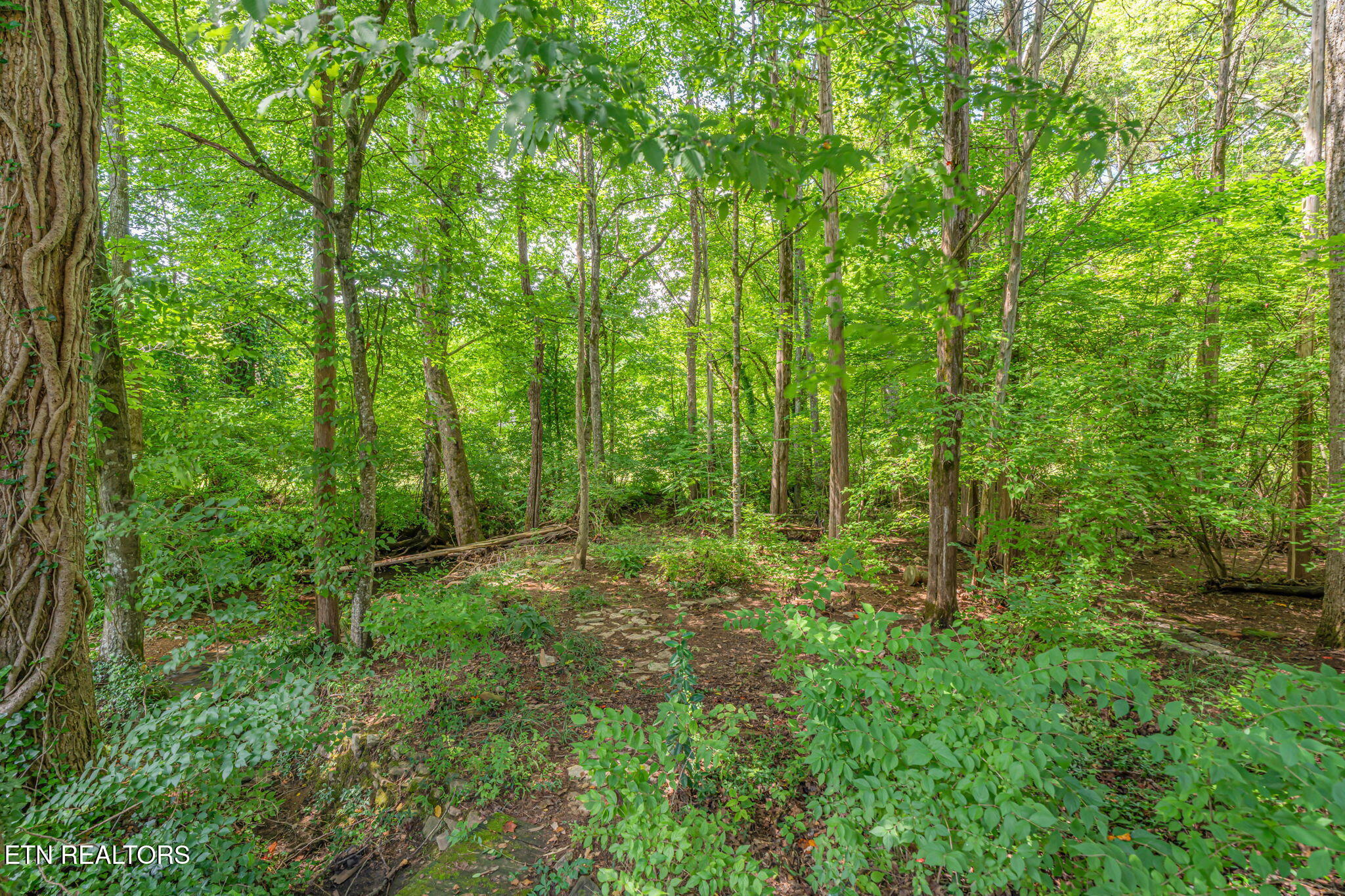 13 Bellhaven Lane Oak Ridge TN 37830