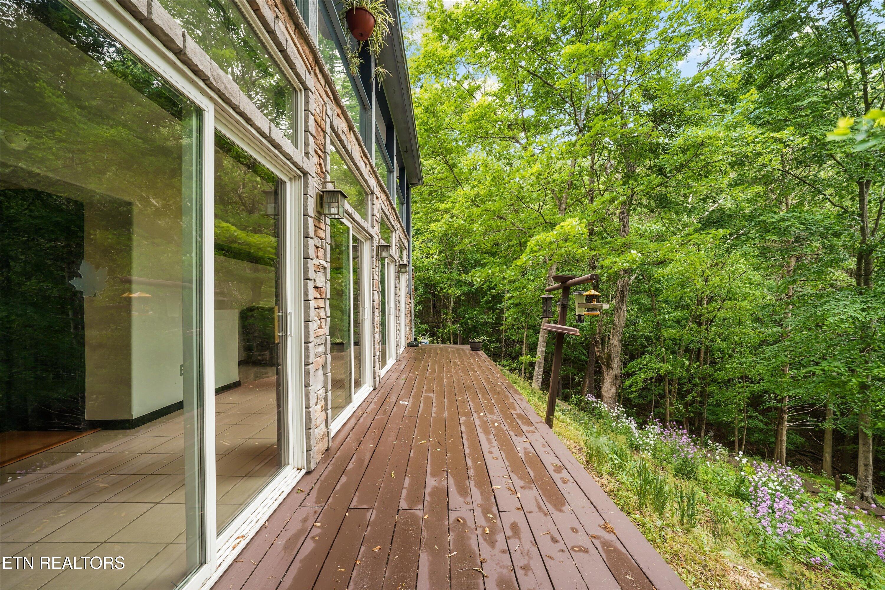 173 Yacht Club Lane Andersonville TN 37705