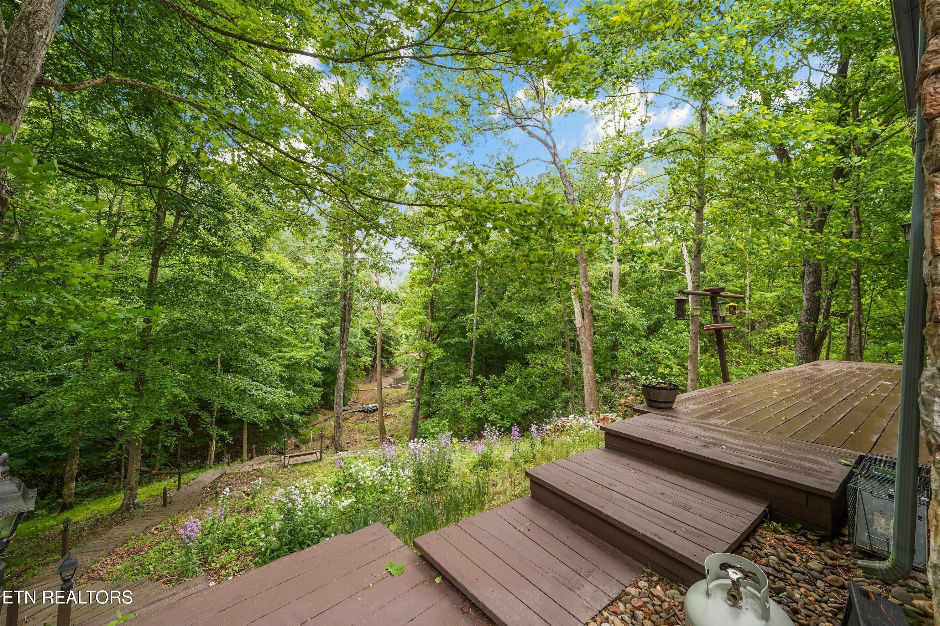 173 Yacht Club Lane Andersonville TN 37705