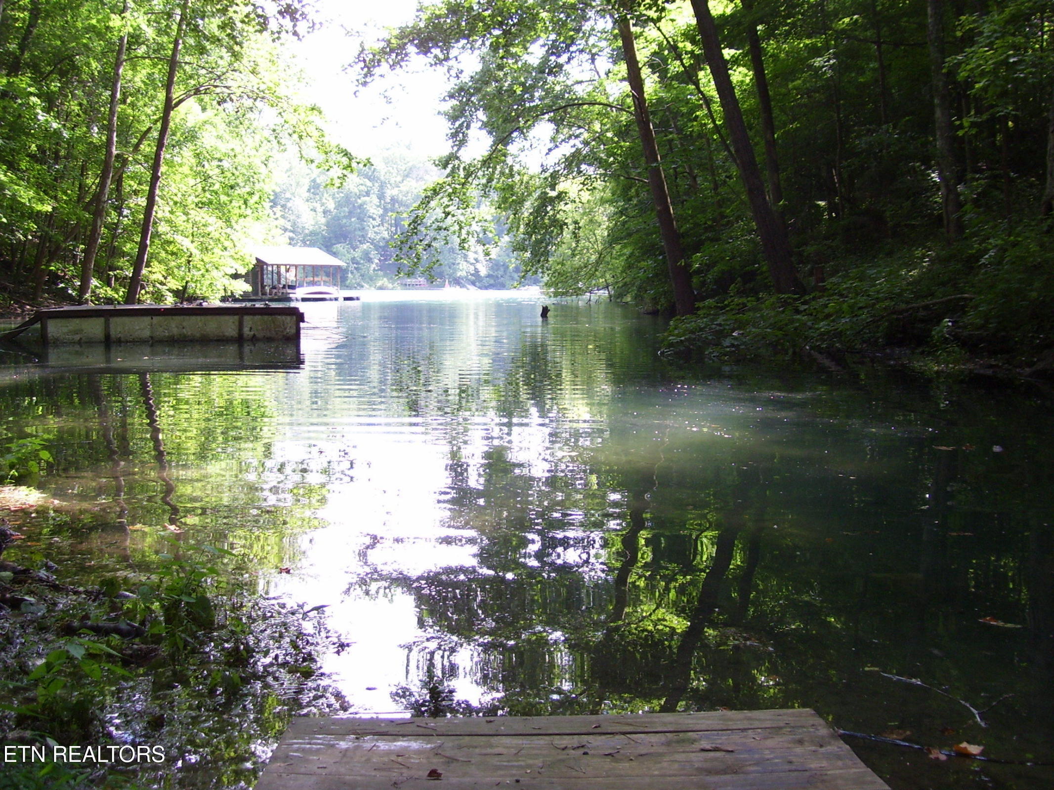 173 Yacht Club Lane Andersonville TN 37705