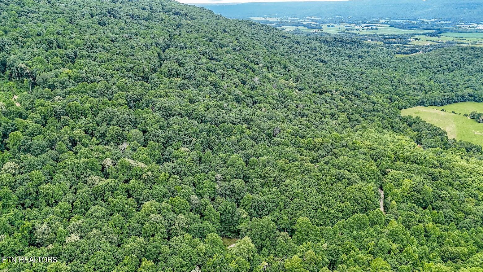 701 Cherokee Ridge Road Pikeville TN 37367