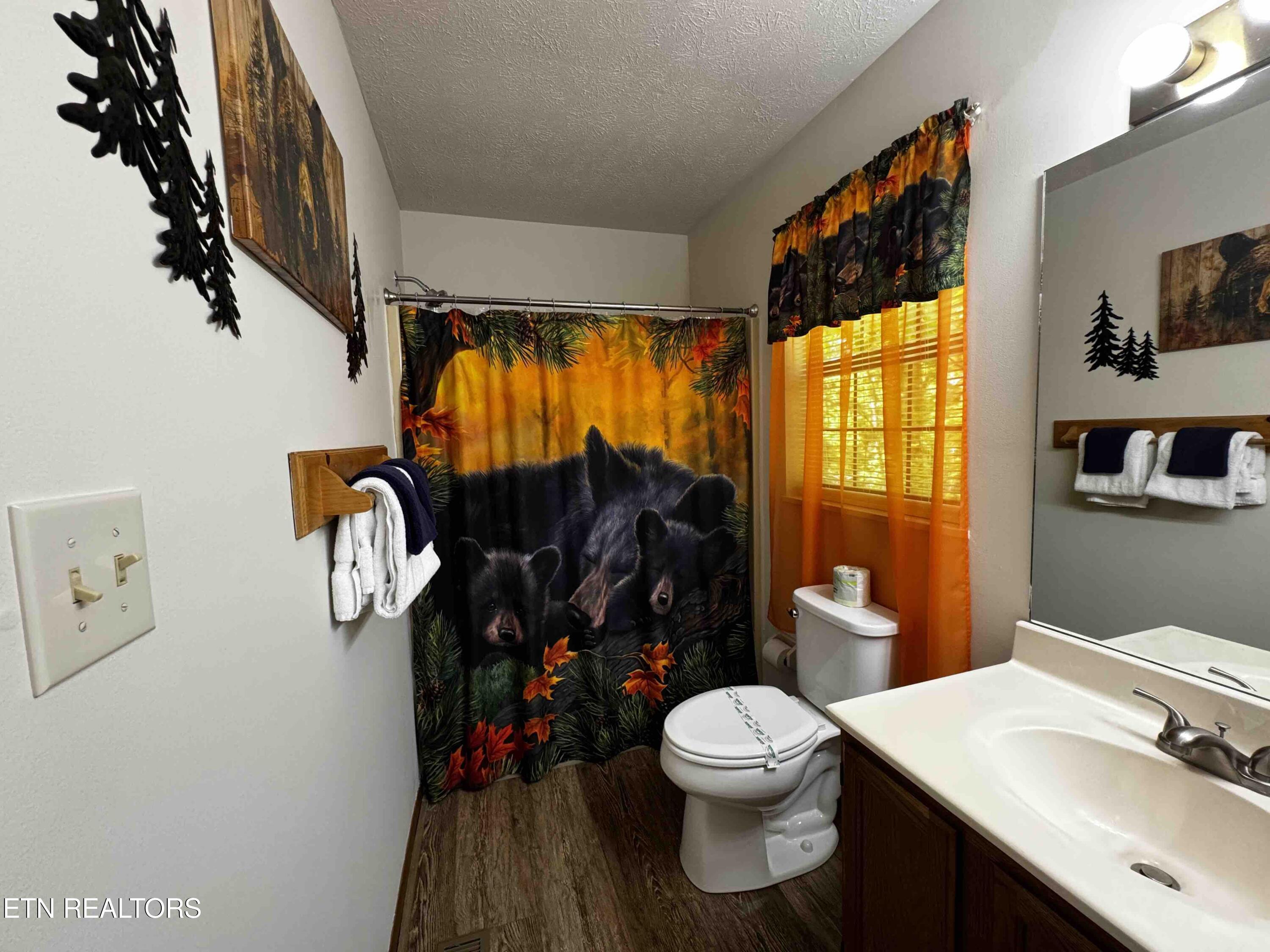653 Oaks View Court Pigeon Forge TN 37863