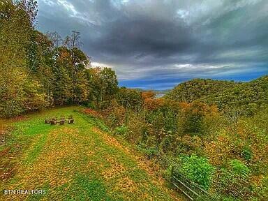 175 Dillon Road Baxter TN 38544