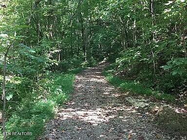 175 Dillon Road Baxter TN 38544
