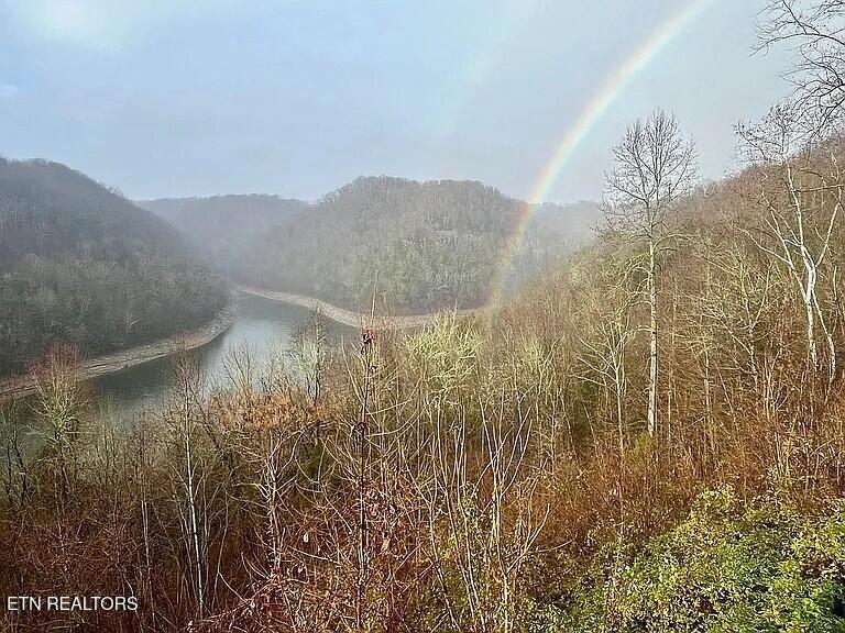 175 Dillon Road Baxter TN 38544