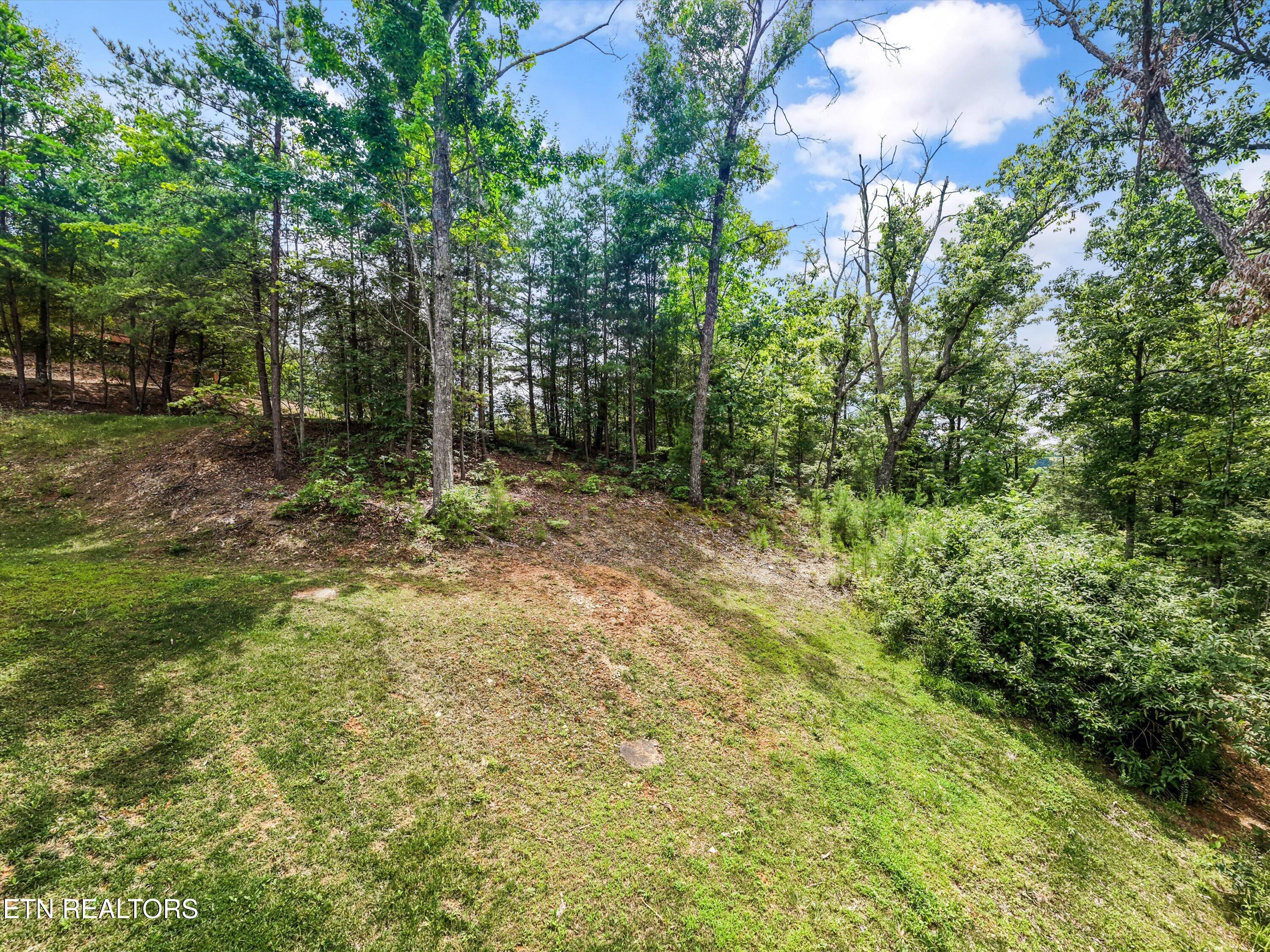 2930 Lighting Strike Drive Sevierville TN 37876
