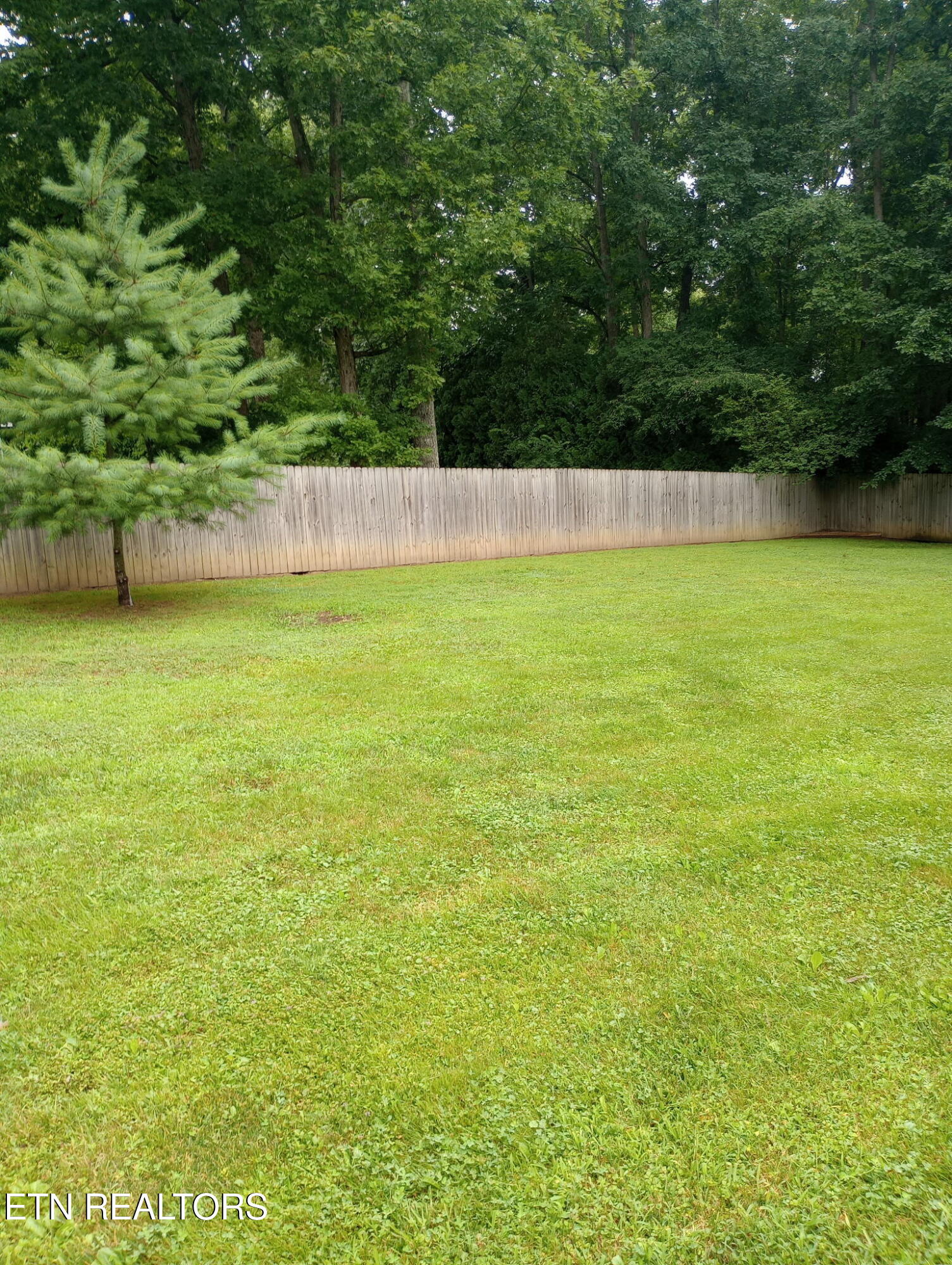 62 Cardinal Loop Crossville TN 38555