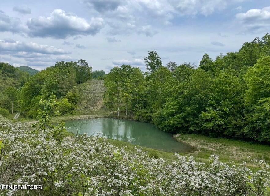 3796 Highway 25e S Tazewell TN 37879