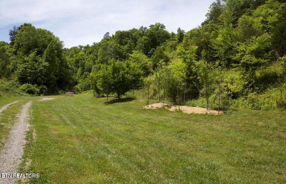 3796 Highway 25e S Tazewell TN 37879