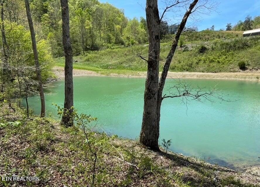 3796 Highway 25e S Tazewell TN 37879