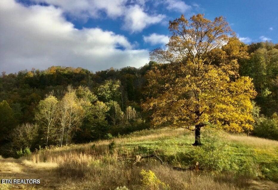 3796 Highway 25e S Tazewell TN 37879