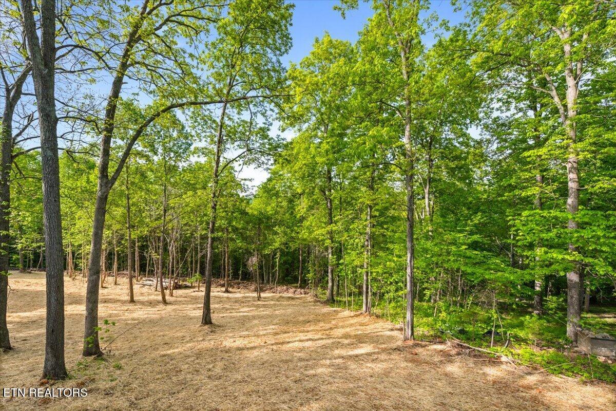 197 Serrento Lane New Tazewell TN 37825