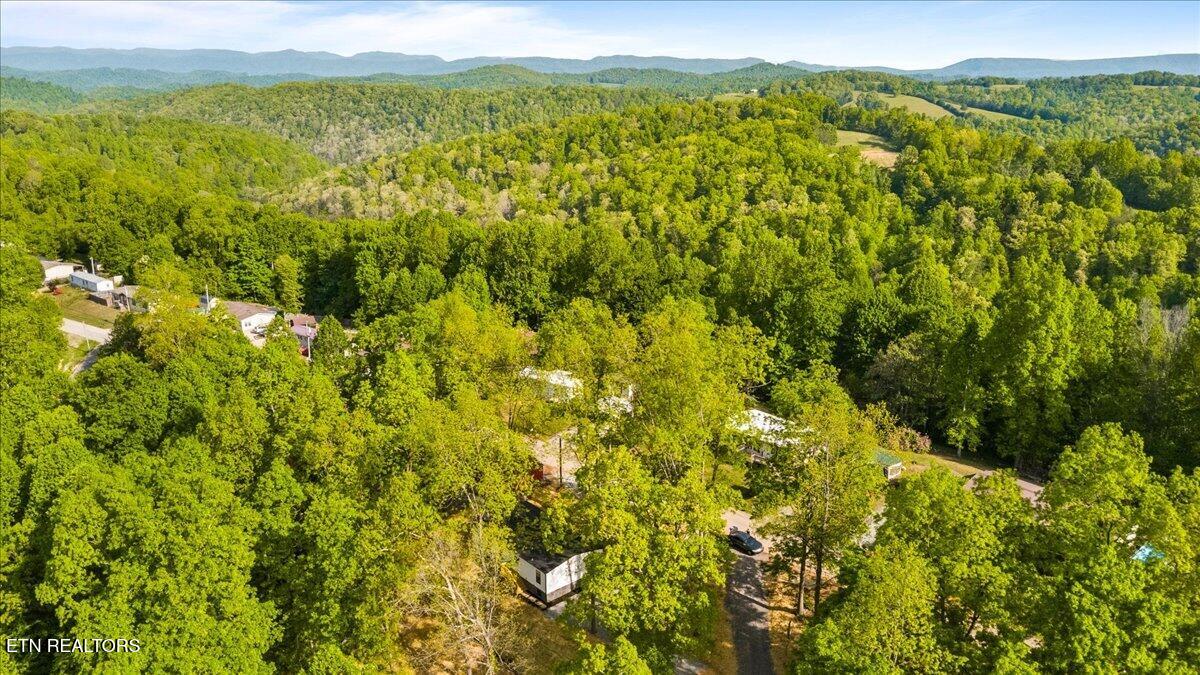 197 Serrento Lane New Tazewell TN 37825