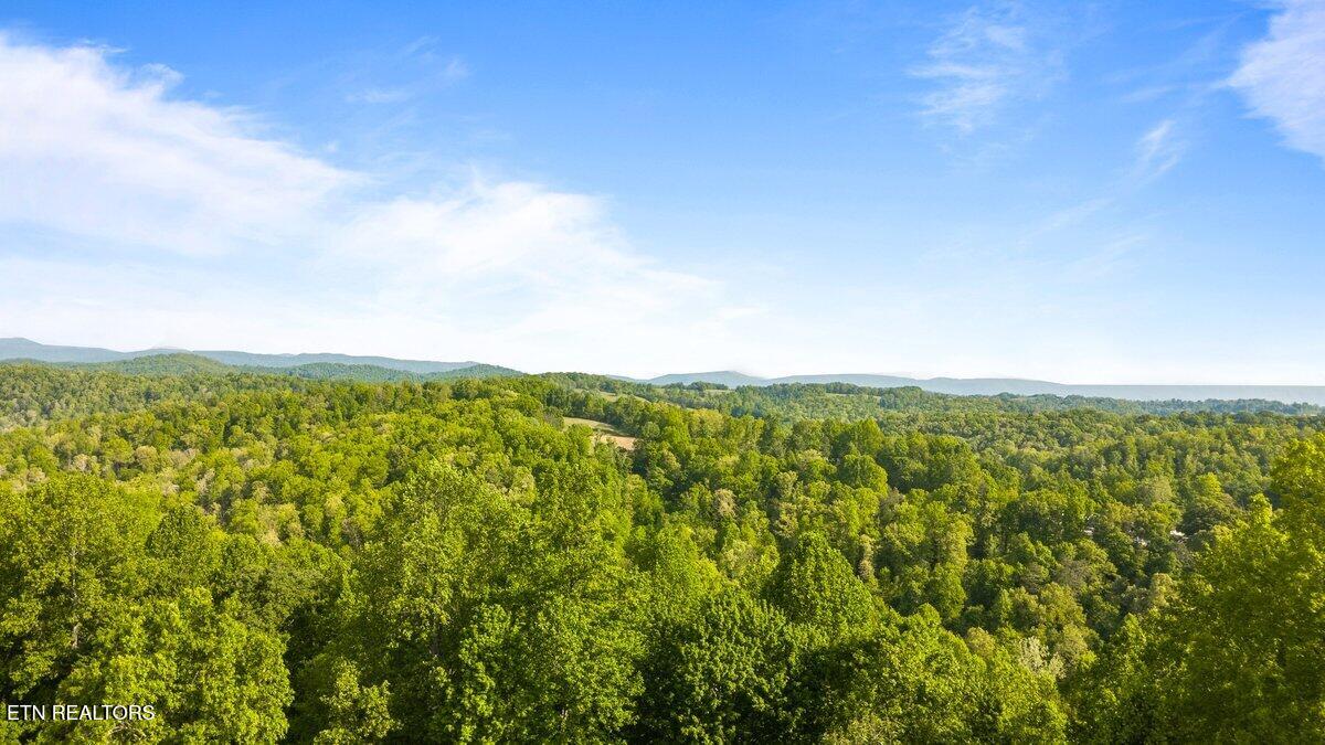 197 Serrento Lane New Tazewell TN 37825