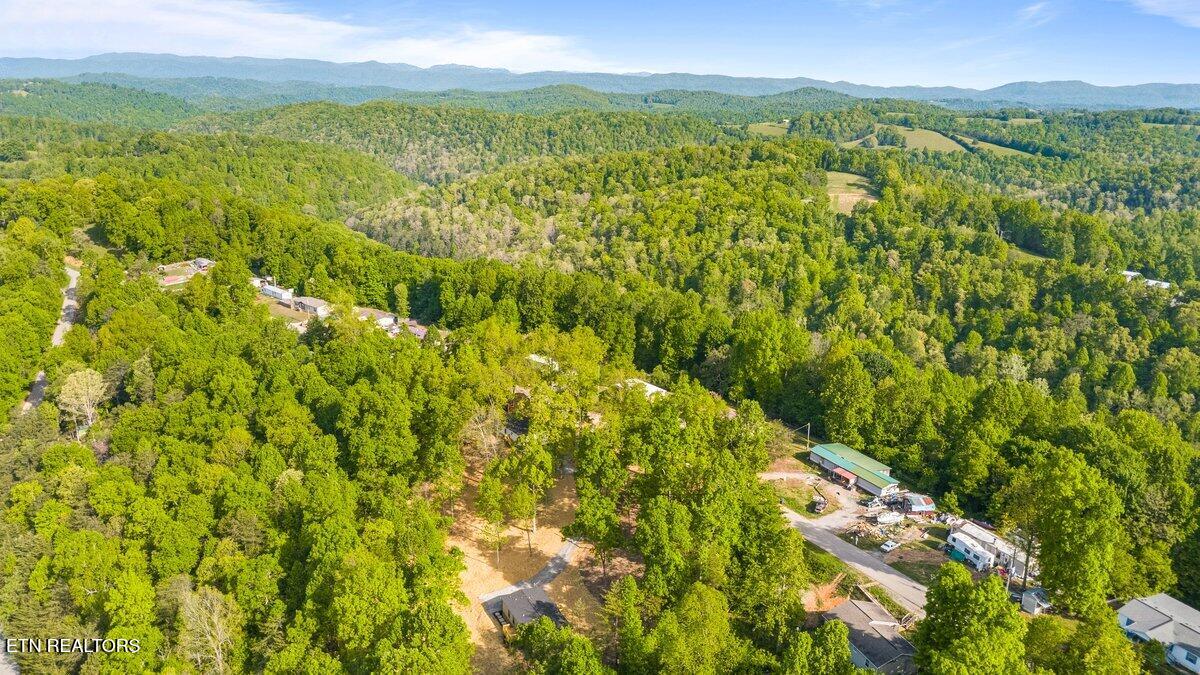 197 Serrento Lane New Tazewell TN 37825