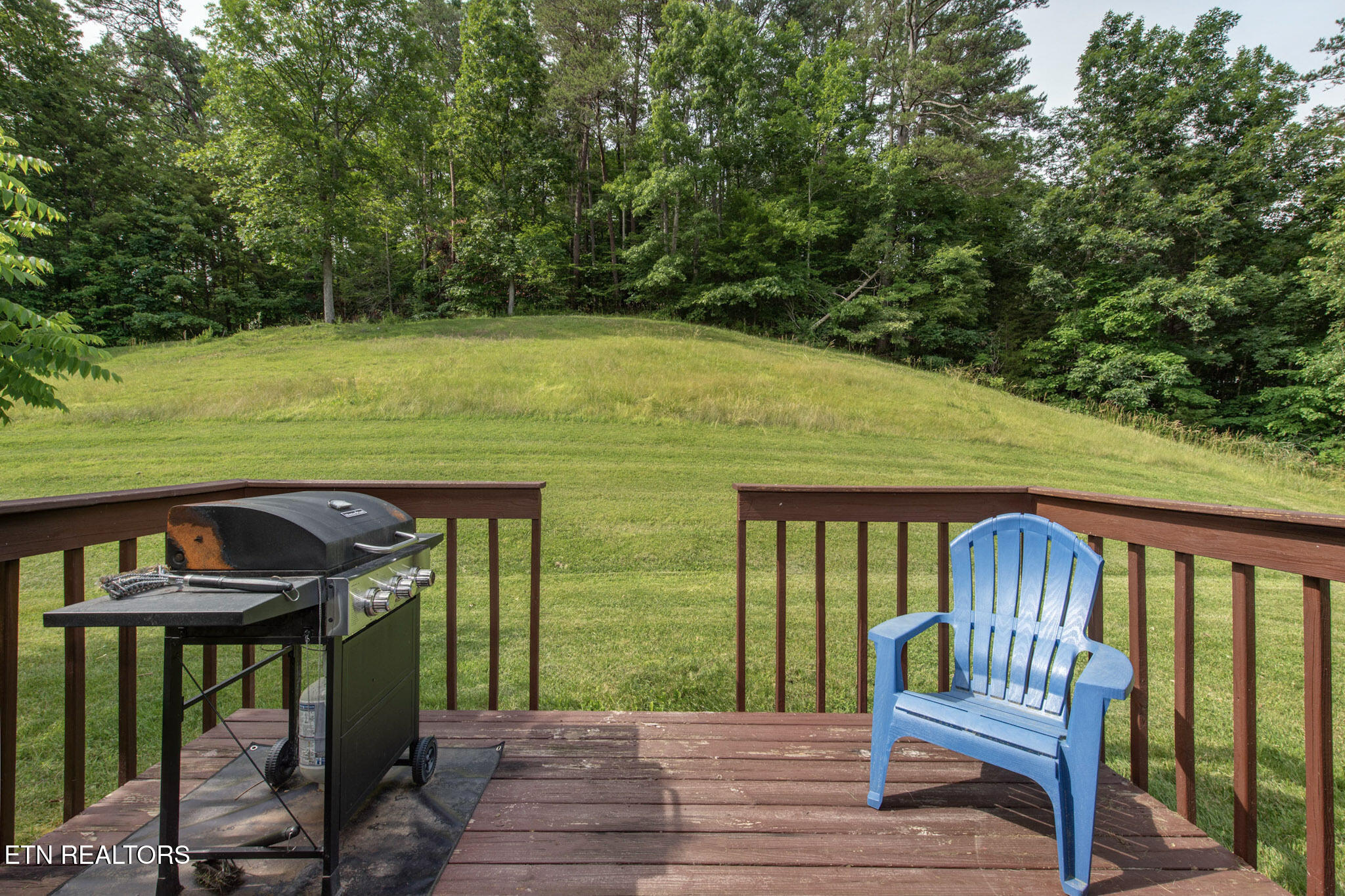 1315 Mccarter Hollow Road Sevierville TN 37862